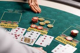 Dasbor dan kontrol akun robintogel untuk member